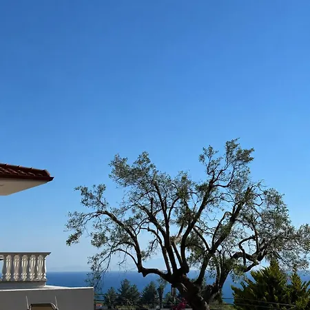 Olive Tree House Villa Nea Skioni